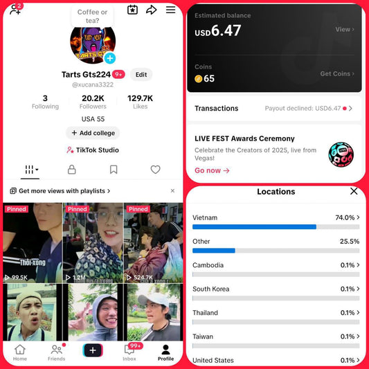 Old Tiktok 20k followers high quality