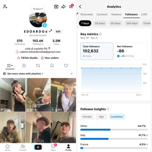 Old Tiktok 102 followers high quality