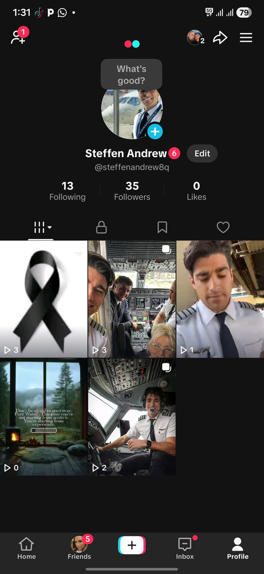 Old Tiktok 34 followers