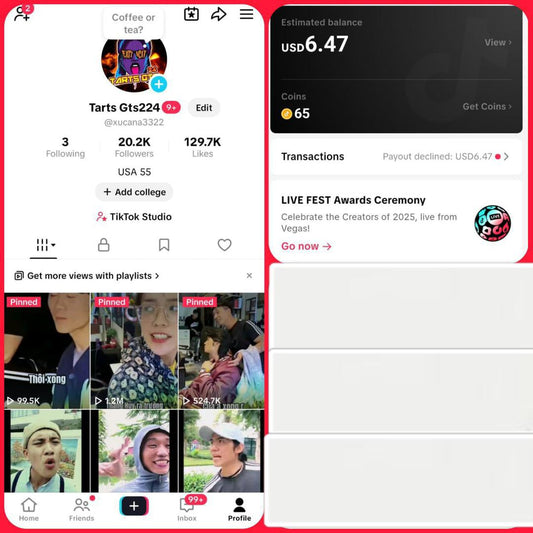 Old USA Tiktok 20k real followers