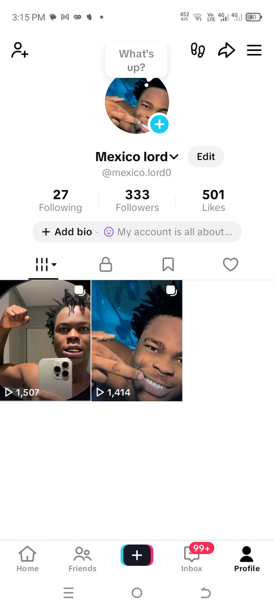 Tiktok 333 followers